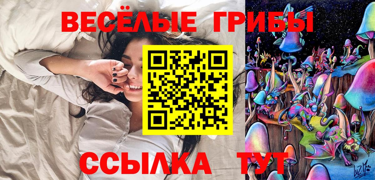 Галлюциногенные грибы GOLDEN TEACHER  Вход с VPN  Галлюциногенные грибы MAGIC MUSHROOMS  Благовещенск 