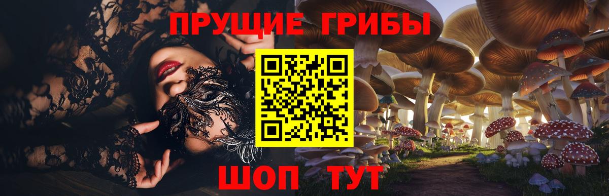 Псилоцибиновые грибы Psilocybine cubensis Благовещенск